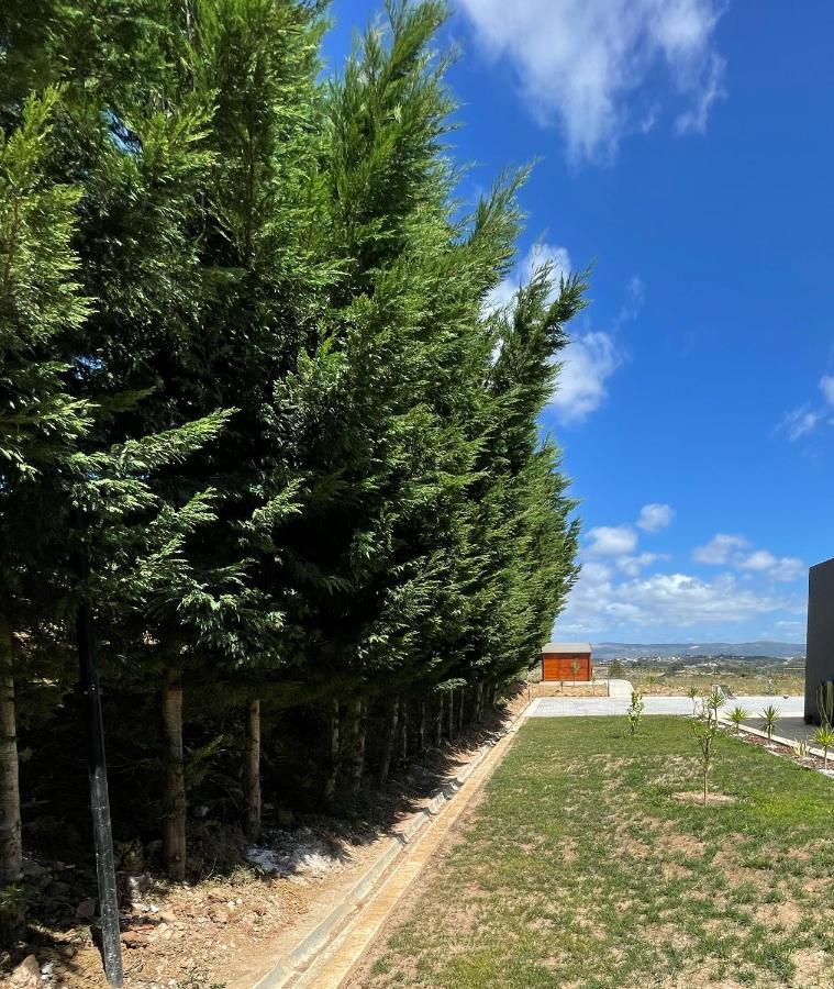 Entre Pomares Villa Alcobaca Exterior photo